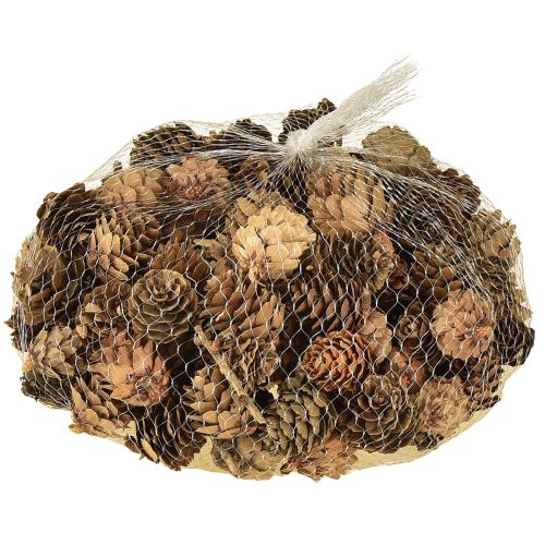 Produkt Szyszki naturalne, szyszki ozdobne, drobne, siateczka 2,5-3,5cm, 300g