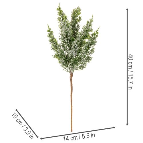 Sztucznie ośnieżona gałązka sosnowa do kompozycji kwiatowych i dekoracji adwentowych, 40 cm, 3 sztuki | Floristik24.pl