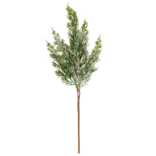 Sztucznie ośnieżona gałązka sosnowa do kompozycji kwiatowych i dekoracji adwentowych, 40 cm, 3 sztuki | Floristik24.pl