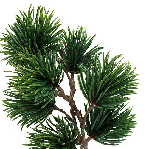 Floristik24 Sztuczna zieleń sosnowa H30cm 6szt