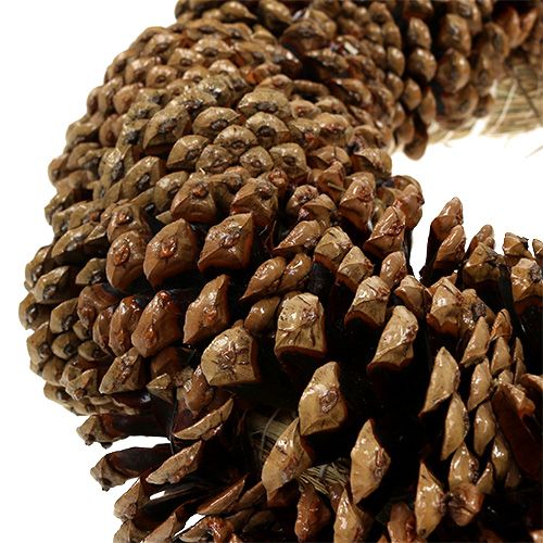 Floristik24 Wieniec z szyszek okrągły płaski Ø30cm