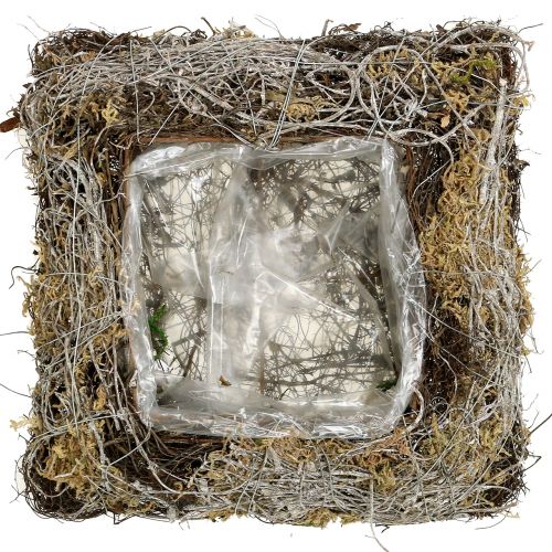 Floristik24 Poduszka mech, winorośl 25cm x25cm