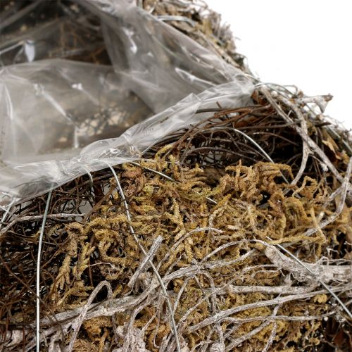 Floristik24 Poduszka mech, winorośl 25cm x25cm