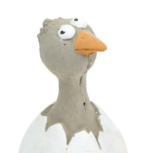 Floristik24 Figurka dekoracyjna pisklę w jajku H16,5cm 3szt.