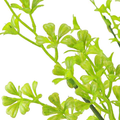 Produkt Koniczyna Dwarf Clover Sztuczne Rośliny w Zieleni na Koku 49cm 2szt