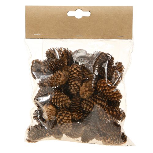 Floristik24 Szyszki choinkowe małe ozdobne naturalne szyszki adwentowe 3-4cm 100g