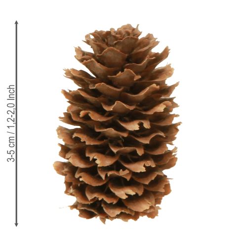 Produkt Szyszki choinkowe małe ozdobne naturalne szyszki adwentowe 3-4cm 100g