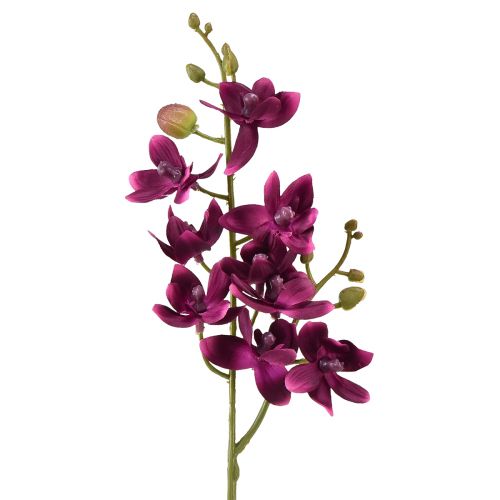 Mały sztuczny storczyk Phalaenopsis kwiat ciemnofioletowy 30cm