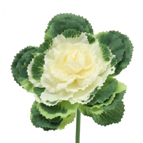 Floristik24 Kapusta ozdobna sztuczna biała, zielona 25cm 6szt.