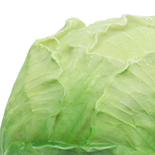 Floristik24 Kapusta biała Ø16cm