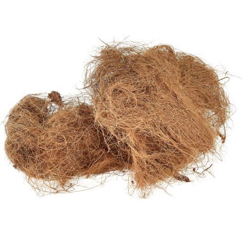 Floristik24 Włókno kokosowe, naturalne włókno roślinne, materiał rzemieślniczy z włókien naturalnych 1kg