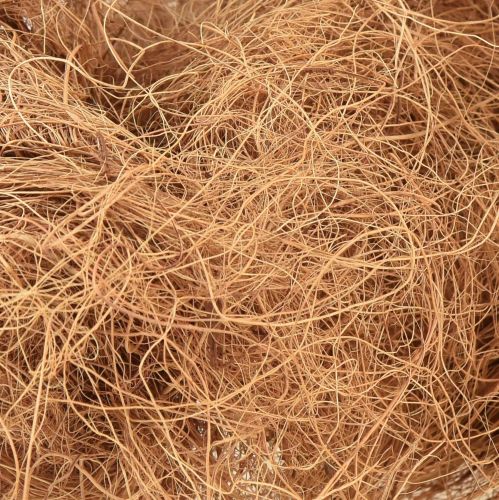 Floristik24 Włókno kokosowe, naturalne włókno roślinne, materiał rzemieślniczy z włókien naturalnych 1kg