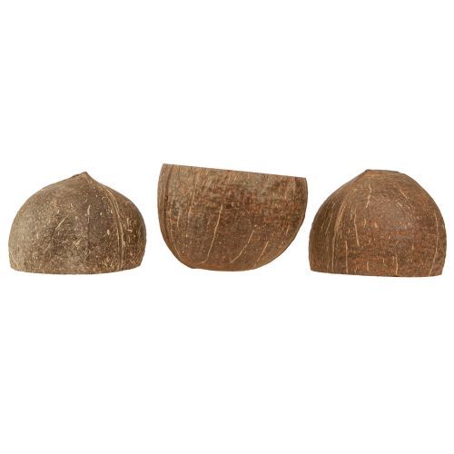 Produkt Miska kokosowa naturalna ozdobna miska kokosowa przekrojona na pół 10cm 6 szt