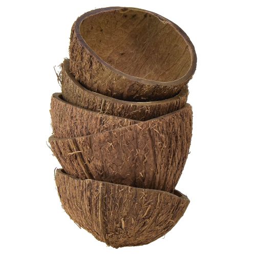 Floristik24 Dekoracja miski kokosowej naturalne półkokosy Ø7-9cm 5 szt
