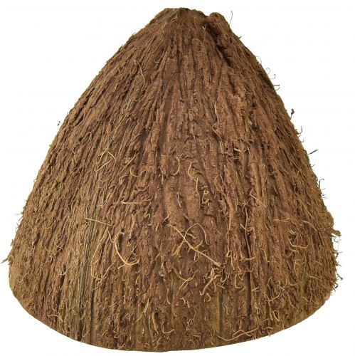 Floristik24 Dekoracja miski kokosowej naturalne półkokosy Ø7-9cm 5 szt
