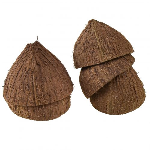 Floristik24 Dekoracja miski kokosowej naturalne półkokosy Ø7-9cm 5 szt