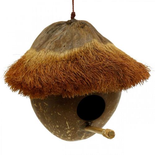 Kokos jako budka lęgowa, domek dla ptaków do powieszenia, dekoracja kokosowa Ø16cm L46cm
