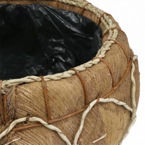 Floristik24 Podstawka kokosowa natura Ø37/24cm zestaw 2 szt.