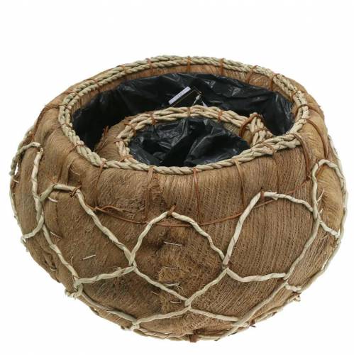 Floristik24 Podstawka kokosowa natura Ø37/24cm zestaw 2 szt.