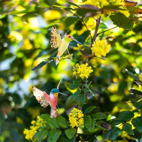 Floristik24 Koliber z drutem 5,5cm L22cm różne 12szt