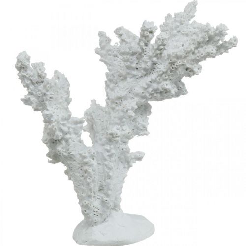 Floristik24 Dekoracja morska koralowa biała sztuczna dekoracja stojak 11×12cm