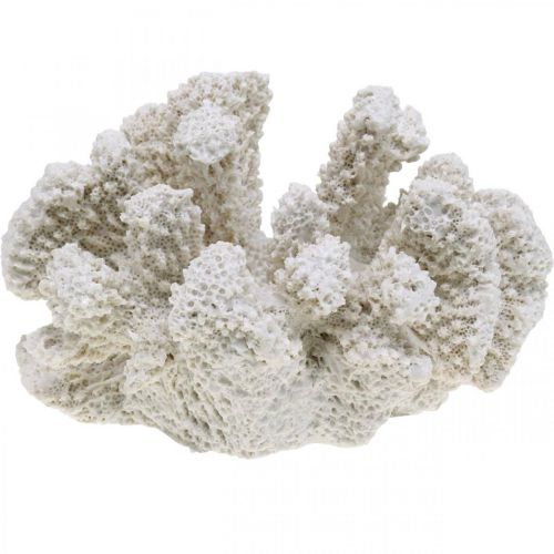 Floristik24 Dekoracja morska koralowa biała sztuczna poliżywica mała 13,5x12 cm