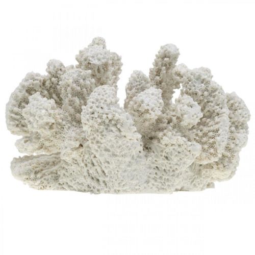 Floristik24 Dekoracja morska koralowa biała sztuczna poliżywica mała 13,5x12 cm