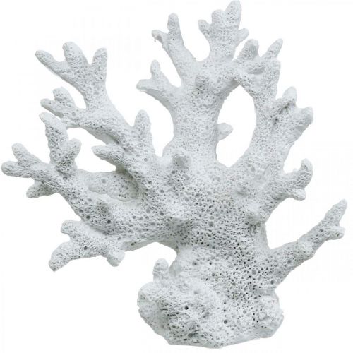 Floristik24 Dekoracja morska koralowa biała letnia dekoracja 14,5×14,5cm