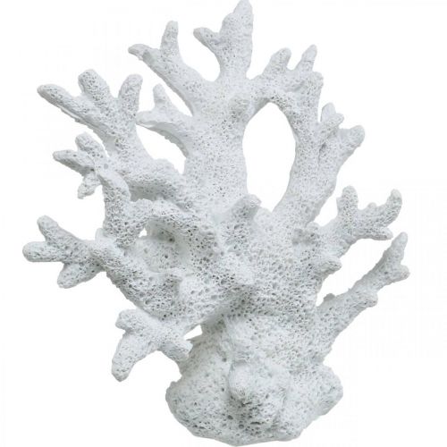 Floristik24 Dekoracja morska koralowa biała letnia dekoracja 14,5×14,5cm