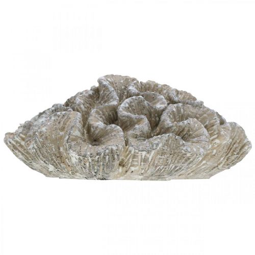 Produkt Dekoracja morska koralowy beżowy biały sztuczna żywica poliestrowa 23x20cm