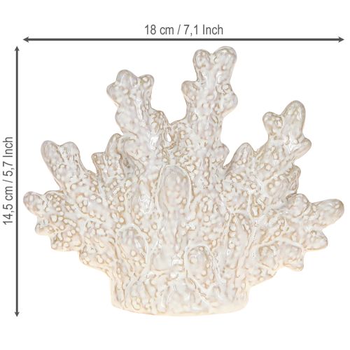 Produkt Dekoracja koralowa ceramiczna marynistyczna dekoracja stołu beżowa wys. 14,5cm