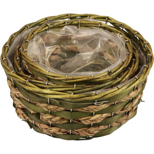 Floristik24 Kosz kosz na rośliny pleciony zielony 30×24/26×20/22×15cm zestaw 3 szt.