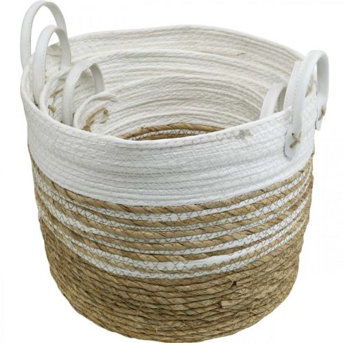 Floristik24 Kosz do sadzenia, przybory z uchwytami, organizer biały, naturalny Ø32/28/23cm W30/25/19cm zestaw 3 szt.