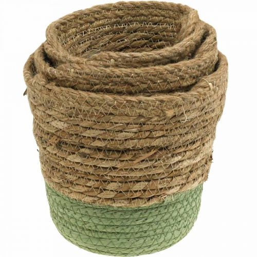 Produkt Kosz wiszący, kosz naturalny, donica do zawieszenia naturalny, zielony Ø19/17/15cm zestaw 3 szt