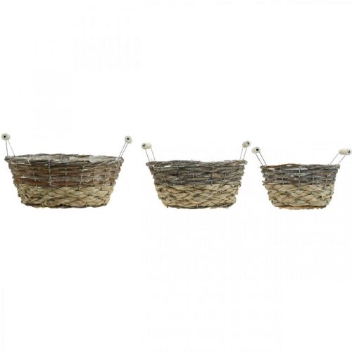 Produkt Kosz na rośliny z uchwytami, ozdobny pojemnik na Wielkanoc, kosz naturalny, shabby chic myte na biało Ø28/24/19cm W12/11/10cm zestaw 3 szt.