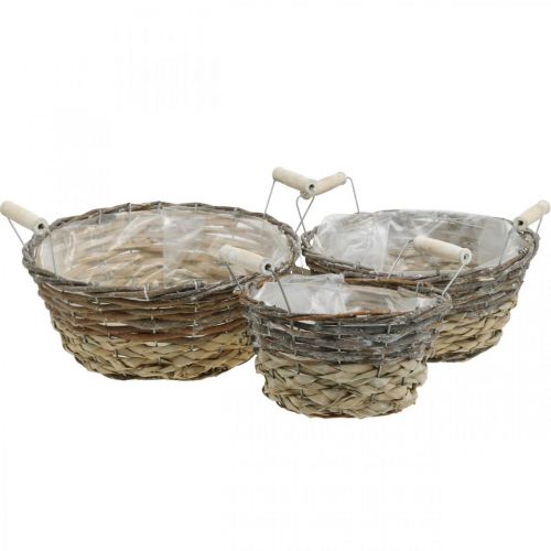 Kosz na rośliny z uchwytami, ozdobny pojemnik na Wielkanoc, kosz naturalny, shabby chic myte na biało Ø28/24/19cm W12/11/10cm zestaw 3 szt.