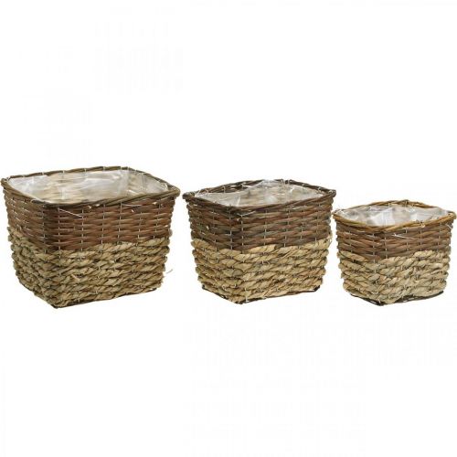 Produkt Kosz na rośliny, naturalny pojemnik do sadzenia, kwadratowa miska na kwiaty naturalne dł.29,5/26/23cm wys.21/19/16cm zestaw 3 szt.