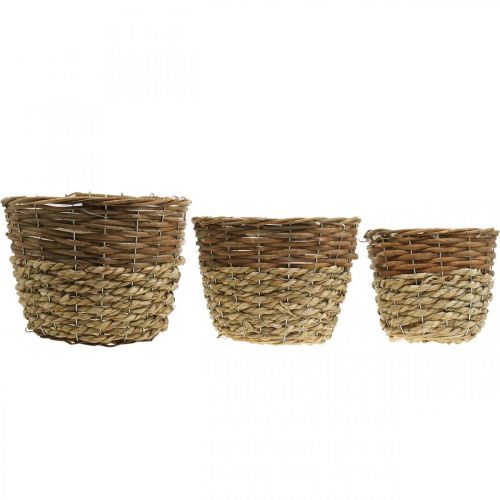Produkt Kosz na kwiaty do sadzenia, doniczka, kosz wiklinowy natura Ø27/25/20cm W20/18/17cm zestaw 3 szt.