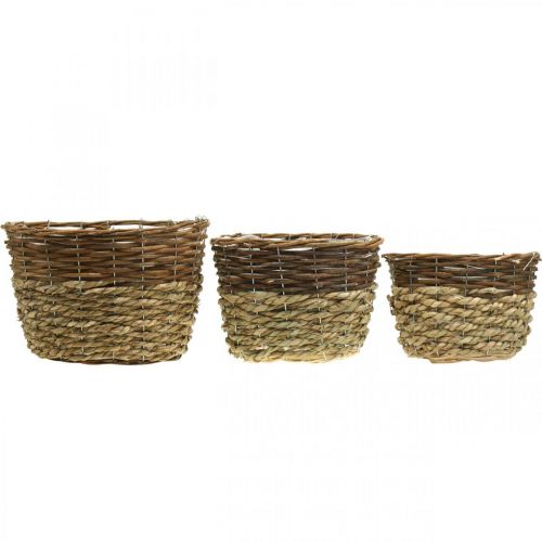 Produkt Kosz naturalny do sadzenia, dekoracja kosza, donice do roślin naturalny dł.21/19/16cm wys.21/19/16cm zestaw 3 szt.