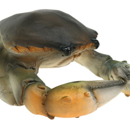 Floristik24 Deco krab i homar 11cm - 15cm