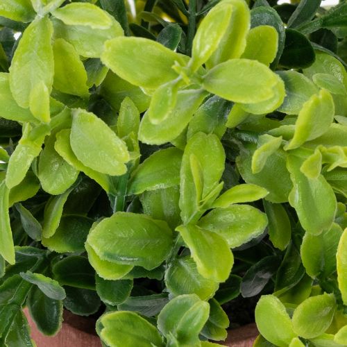 Produkt Sztuczna roślina w doniczce o realistycznej fakturze do użytku wewnątrz i na zewnątrz, 18 cm, 3 sztuki