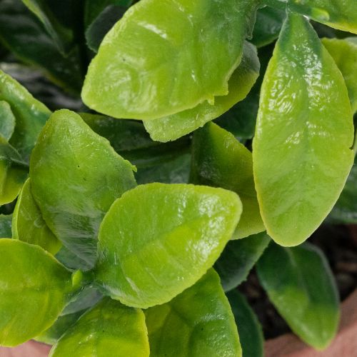 Produkt Sztuczna roślina w doniczce o realistycznej fakturze do użytku wewnątrz i na zewnątrz, 18 cm, 3 sztuki