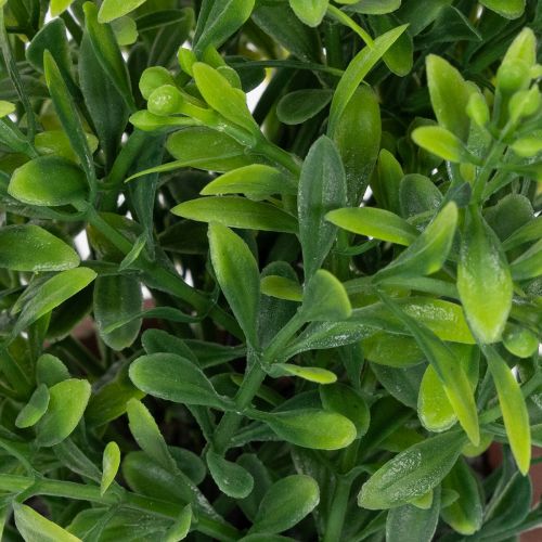 Produkt Sztuczna roślina w doniczce o realistycznej fakturze do użytku wewnątrz i na zewnątrz, 18 cm, 3 sztuki