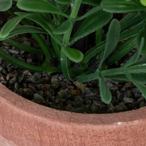 Produkt Sztuczna roślina w doniczce o realistycznej fakturze do użytku wewnątrz i na zewnątrz, 18 cm, 3 sztuki