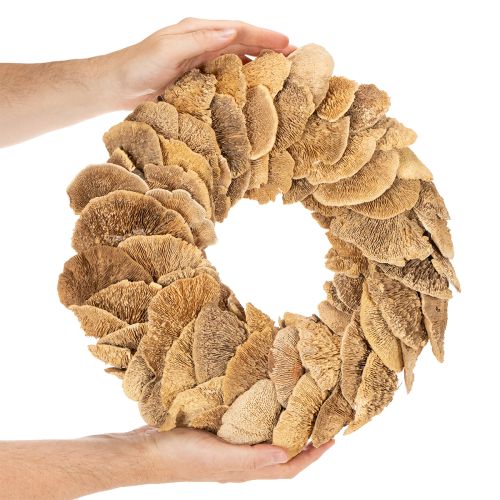 Wianek z grzybów drzewnych, kolor naturalny, do dekoracji drzwi lub ściany, 37 cm | Floristik24.pl
