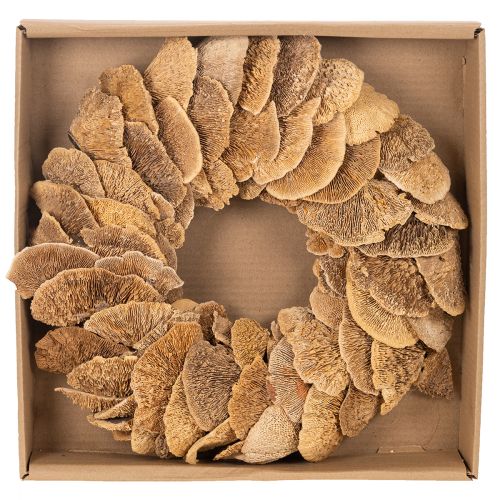 Wianek z grzybów drzewnych, kolor naturalny, do dekoracji drzwi lub ściany, 37 cm | Floristik24.pl