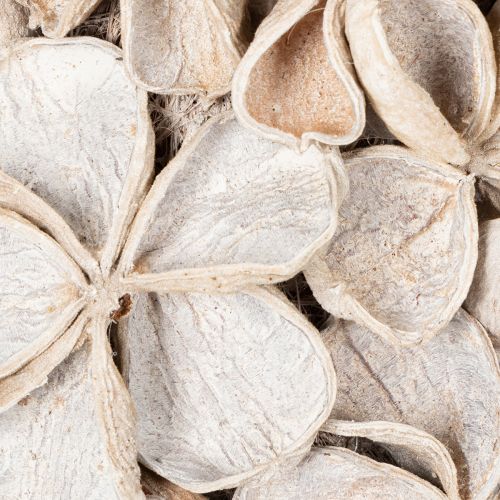 Wieniec z kwiatem lotosu, naturalna dekoracja, suszone kwiaty, 35 cm | Floristik24.pl