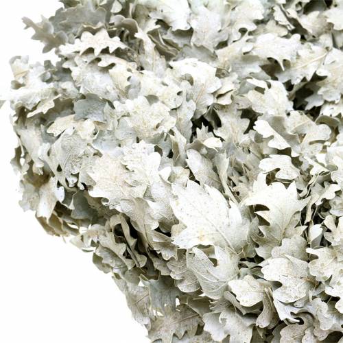 Floristik24 Wieniec Liście Dębu Biały Washed Ø38cm