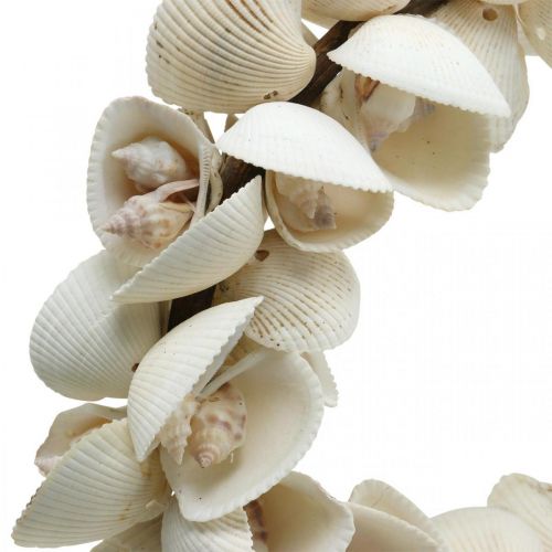 Produkt Wianek morski, dekoracja morska, ozdobne muszle wiankowe i muszle ślimaków naturalne Ø26,5cm