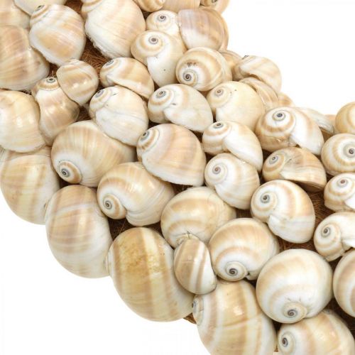 Produkt Wianek ze ślimaka, dekoracja morska, naturalne ślimaki Mattukan w naturalnych kolorach Ø39,5cm